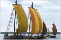 Viking long boats