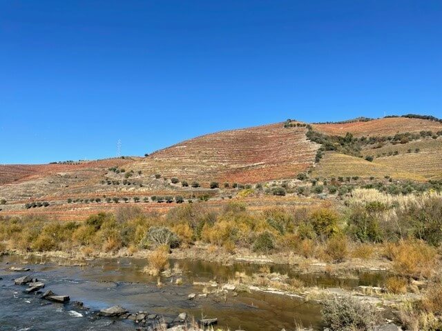 Vineyards of the Douro