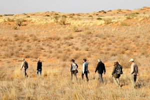 A walking safari through the arid bush of the Kgalagadi