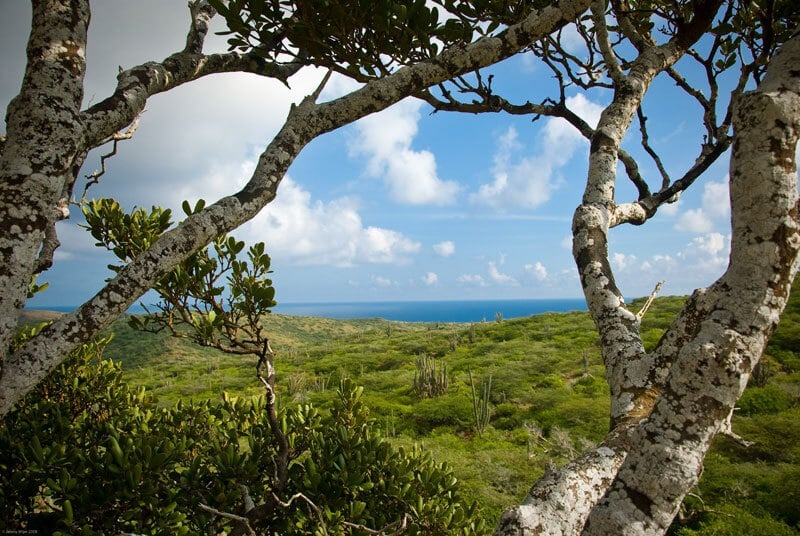 Aruba Arikok National Park