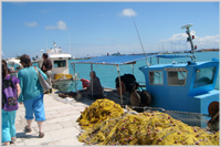 Promenade in Zante with fishing boats selling fresh fish
