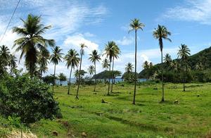 Dominica by Dirk Heldmaier via Wikimedia Commons