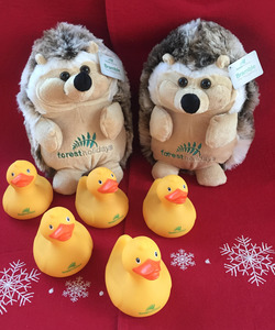 The cuttest cuddly hedgehogs and bath toy heaven!