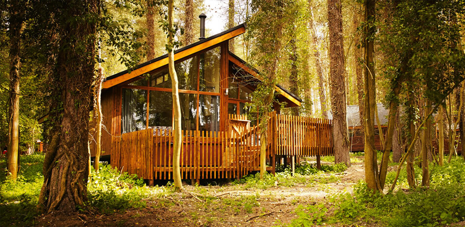 Golden Oak cabin - Forest Holidays