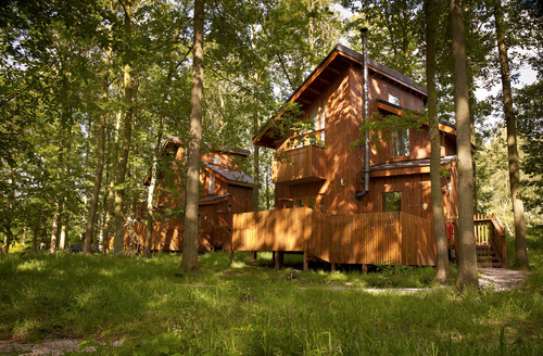 Forest Holidays cabins