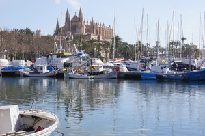 Palma harbour and cathedral