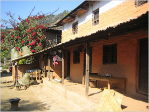 Home in village