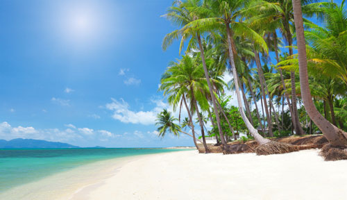 iStock-123075867---beach-with-coconut-palm-trees-and-turquoise-sea---web
