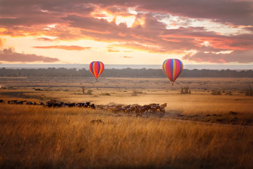 iStock-831386760---Masai-Mara-sunrise-with-wildebeest-and-balloons---WEB