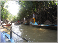 Going local on the Mekong Delta