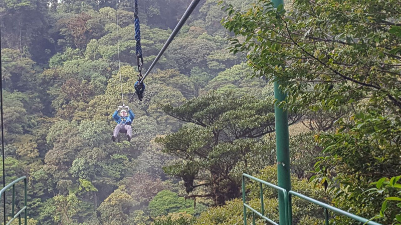 Zip-lining high above the Monteverde cloud forest