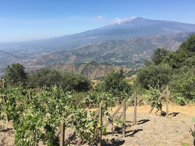 View from Florence Trevelyan's mausoleum - Etna steaming in the distance