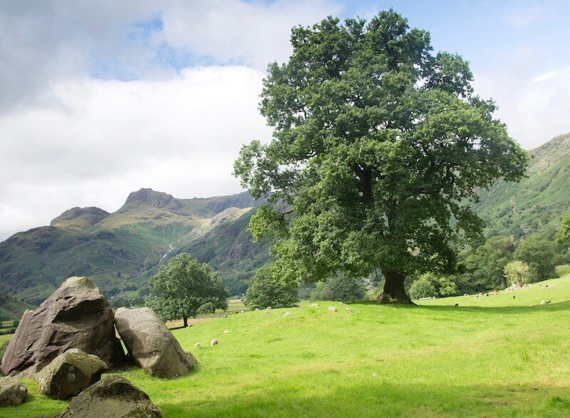 Langdale is glorious for peace and quiet - Langdale Boulders on the left (KevinAlexanderGeorge)