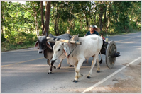 Alternative transport between Nan and Chiang Rai