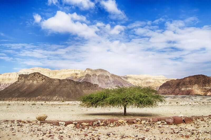 Timna Park, Negev Desert
