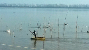 Lake Kerkini fisherman