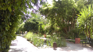 The Jardin Majorelle, Marrakech