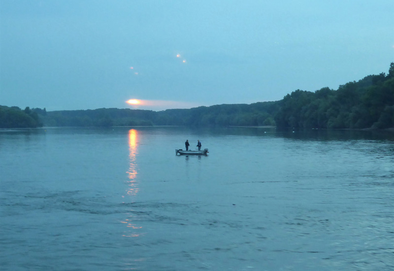 Night fishing on the Rhine