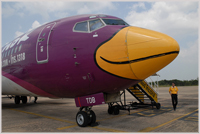Nokair plane with bird nose cone