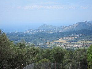 View from Son Font, Mallorca