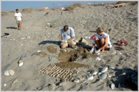 Checking turtle nests in Greece