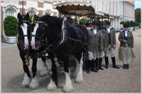 Shire horses at Hampton Court