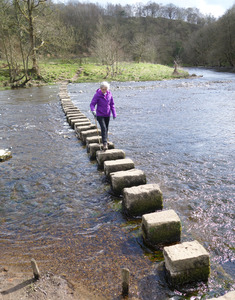 Stepping stones behind the Inn at Whitewell