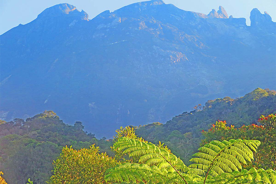 iconic Mount Kinabalu