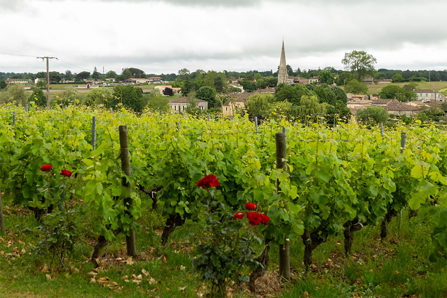Charming French villages and vineyards