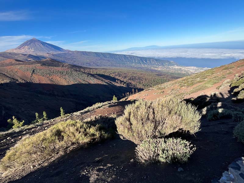 View to Mount Teide, Tenerife