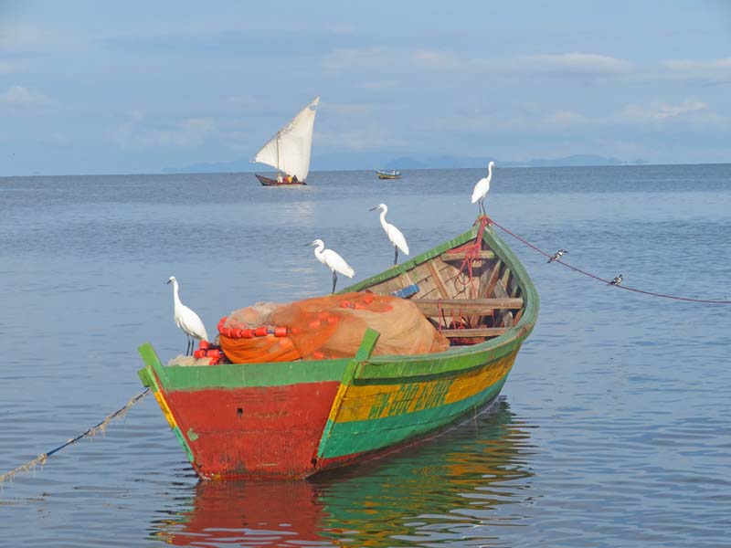Lake Victoria, Tanzania