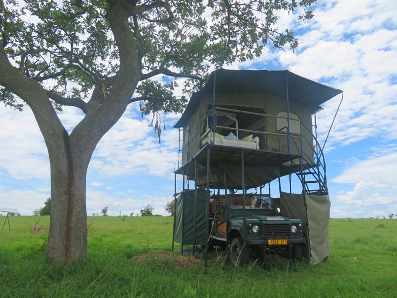 Tanzania Serengeti Bush Rover