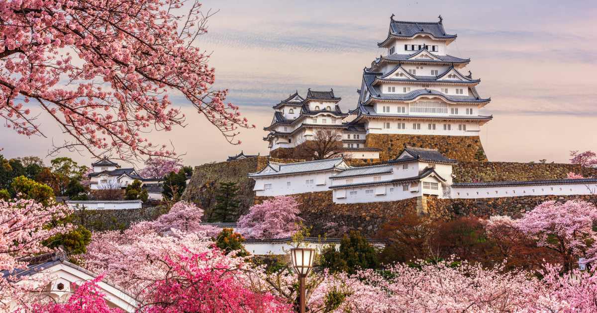 Himeji, Japan at Himeji Castle during Spring Cherry Blossom Season