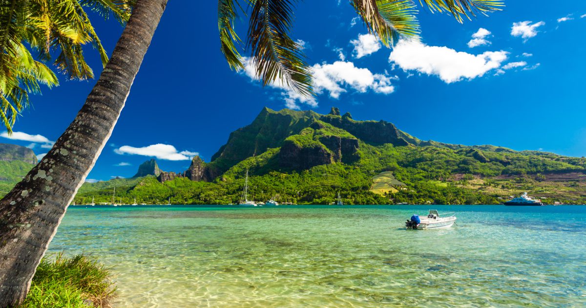 Palm Trees on Shoreline of Ocean at Moorea in Tahiti | Luxury holidays for over 50s