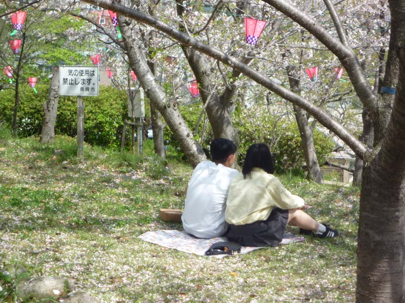 Blossoms in Nagasaki