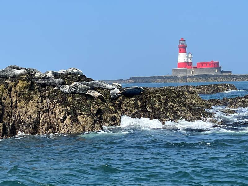 Farne Islands cruise, Longstone Lighthouse