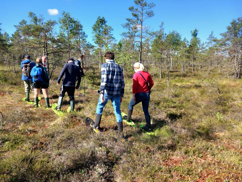 Bog walking