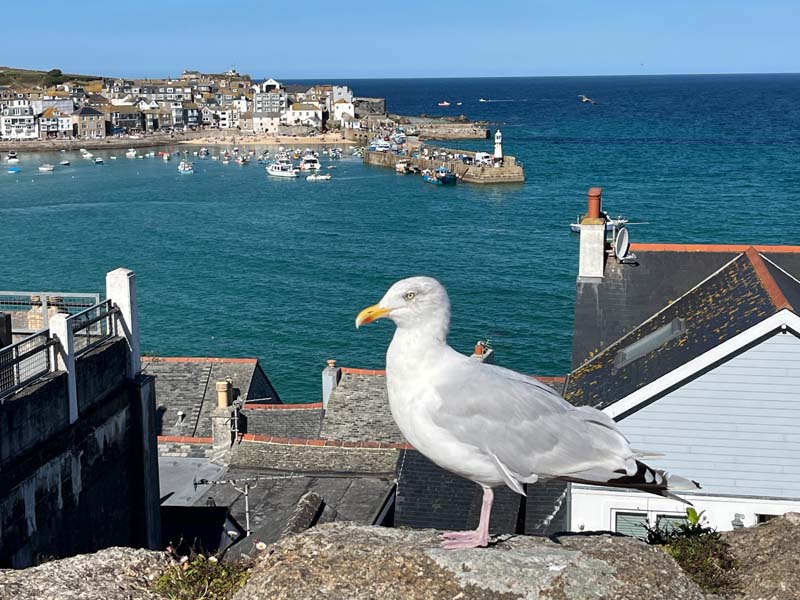  St Ives 