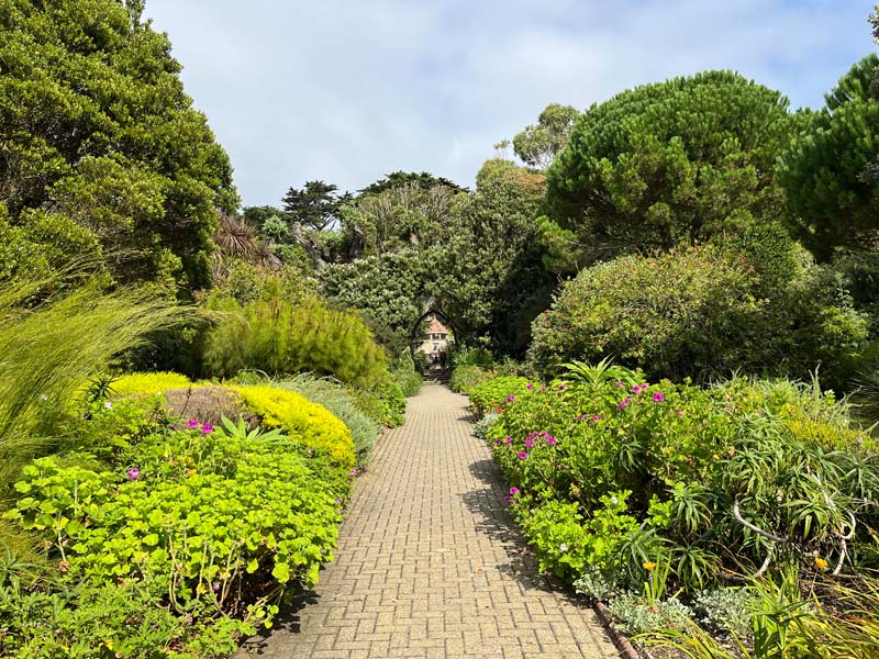 Abbey Gardens, Tresco