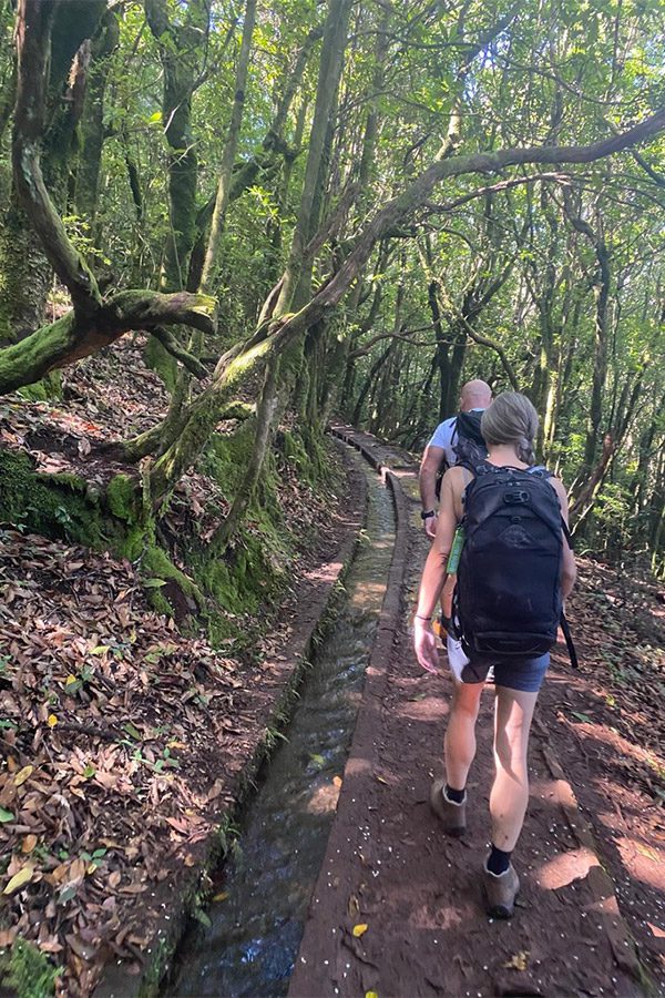 Hiking Madeira's varied trails