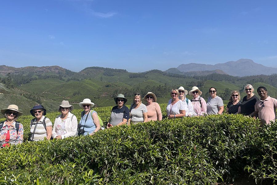 Our group exploring the tea plantations in Munnar