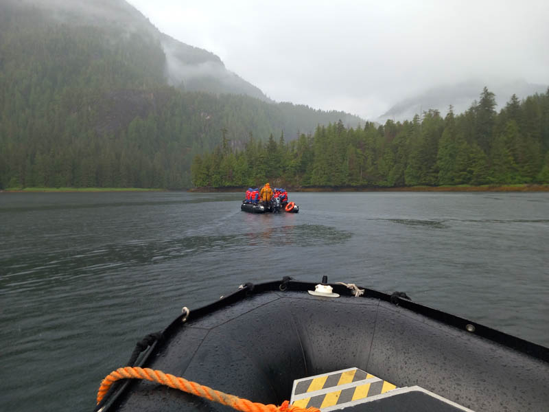 Searching for Brown Bear and Moose in Geographical Bay