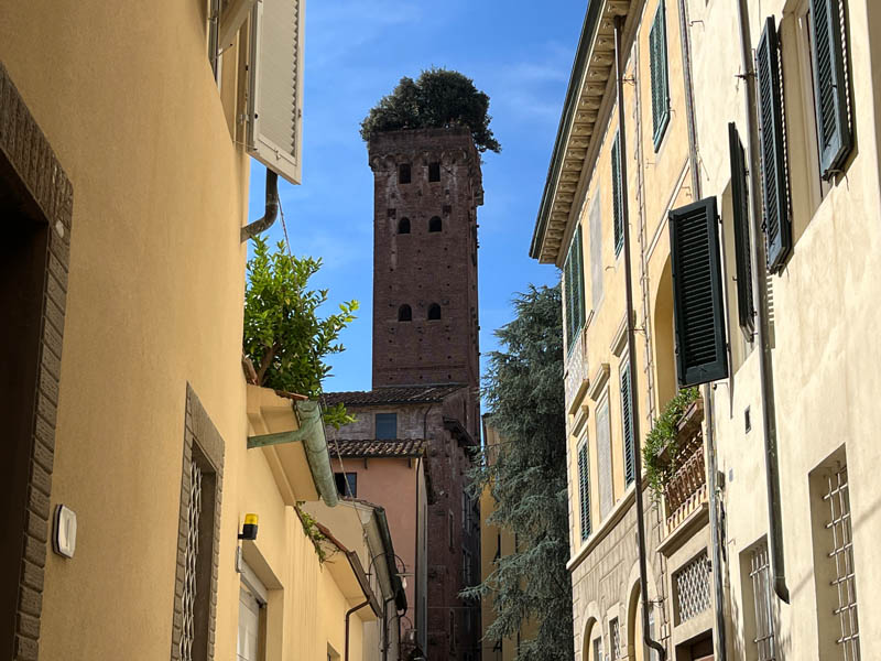 Toree Guinigi, Lucca