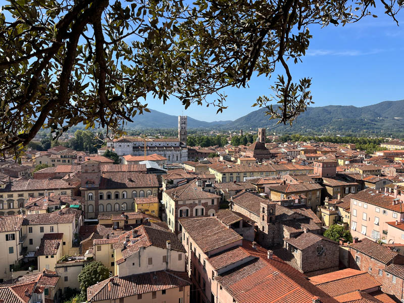 Lucca