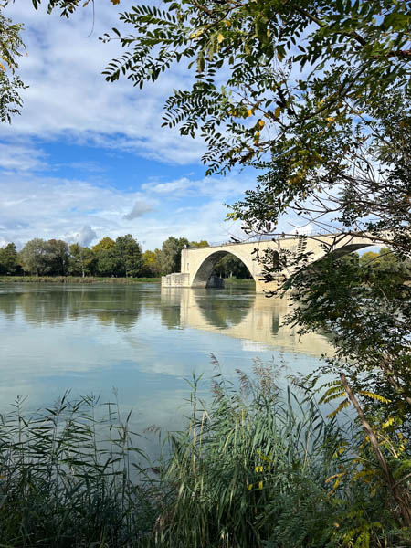 Pont St Benezet, Avignon