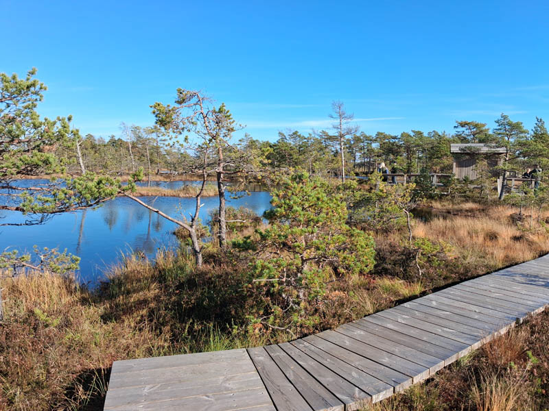 Boardwalk, Tolkuse Bog