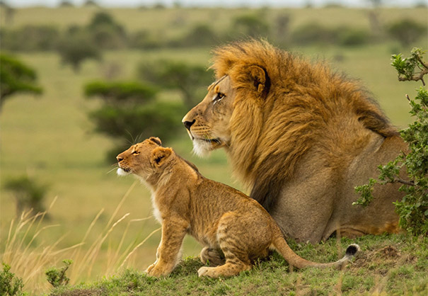 26-01-hpc-Rainbow Tours