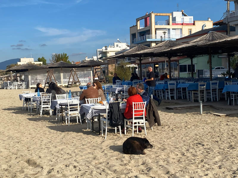 restaurants on the beach