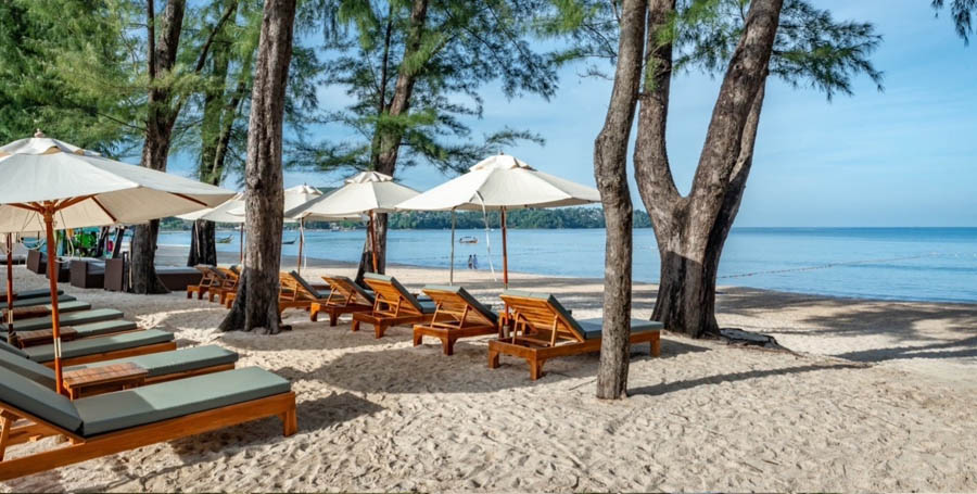 Amora Beach Resort sun loungers