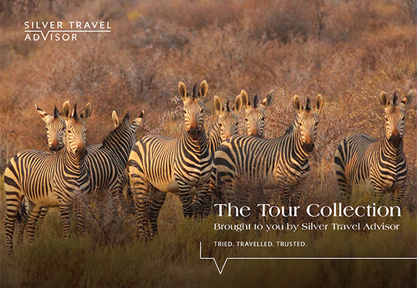 26-04 tour collection coverv2